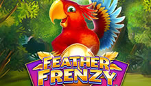 Feather Frenzy